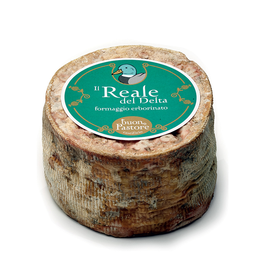 Formaggio pecorino Erborinato